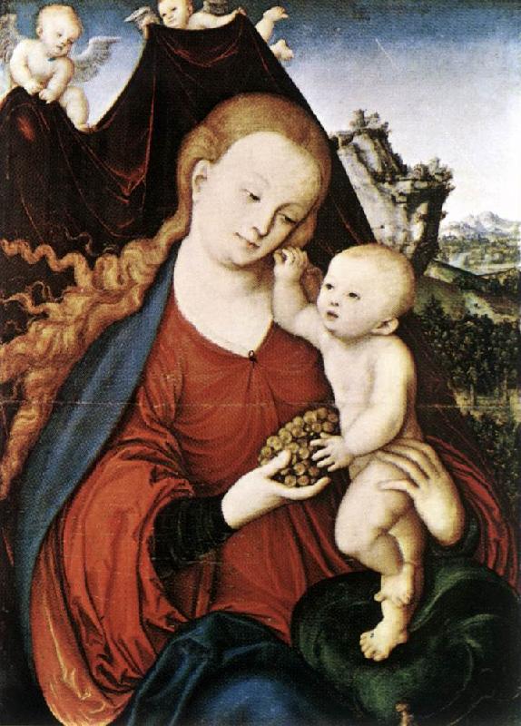 CRANACH, Lucas the Elder Madonna and Child fgd142